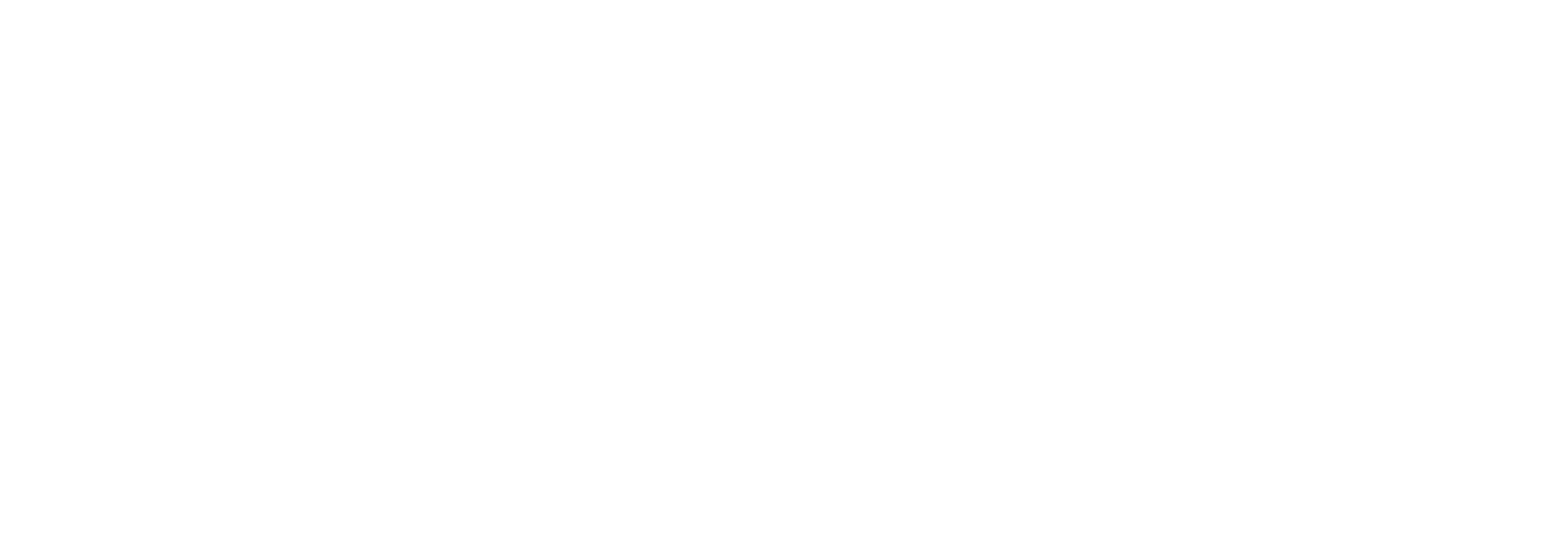 Logo Tiger Off Road